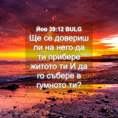 Picture 04 - Йов 39:12 BULG - Ще се довериш ли на него да - Bible Verse Picture