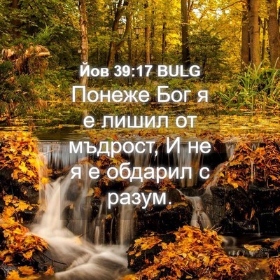 Picture 04 - Йов 39:17 BULG - Понеже Бог я е лишил от - Bible Verse Picture