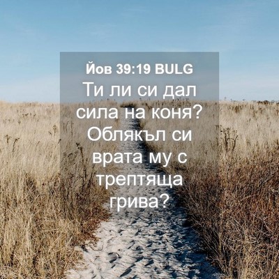Picture 04 - Йов 39:19 BULG - Ти ли си дал сила на коня? - Bible Verse Picture