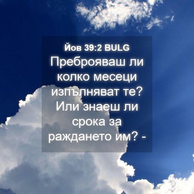 Picture 04 - Йов 39:2 BULG - Преброяваш ли колко месеци - Bible Verse Picture