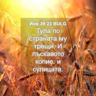 Picture 04 - Йов 39:23 BULG - Тула по страната му трещи, - Bible Verse Picture