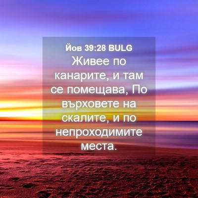 Picture 04 - Йов 39:28 BULG - Живее по канарите, и там се - Bible Verse Picture