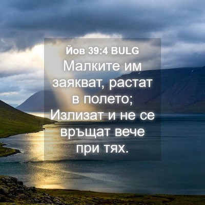 Picture 04 - Йов 39:4 BULG - Малките им заякват, растат - Bible Verse Picture