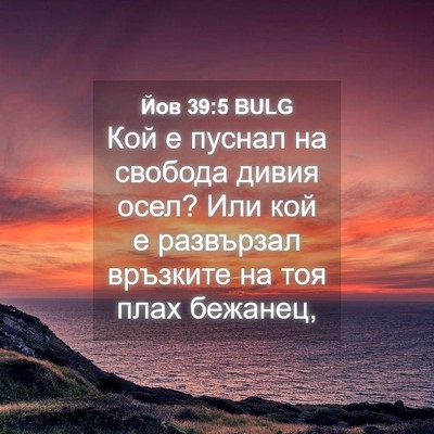 Picture 04 - Йов 39:5 BULG - Кой е пуснал на свобода - Bible Verse Picture