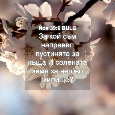 Picture 04 - Йов 39:6 BULG - За кой съм направил - Bible Verse Picture