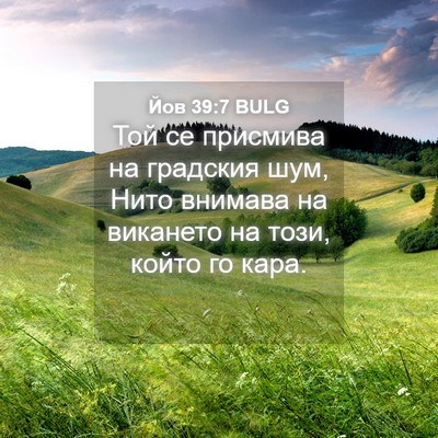Picture 04 - Йов 39:7 BULG - Той се присмива на - Bible Verse Picture