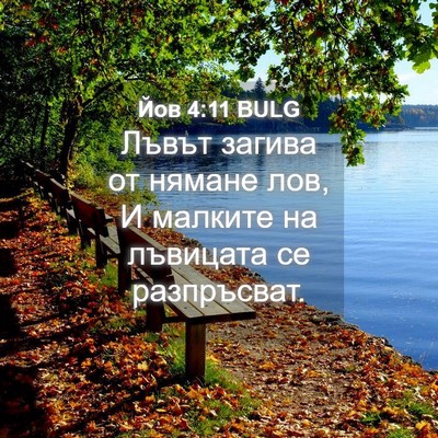 Picture 04 - Йов 4:11 BULG - Лъвът загива от нямане лов, - Bible Verse Picture