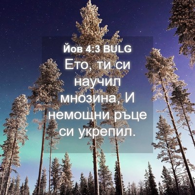 Picture 04 - Йов 4:3 BULG - Ето, ти си научил мнозина, И - Bible Verse Picture