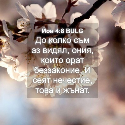 Picture 04 - Йов 4:8 BULG - До колко съм аз видял, ония, - Bible Verse Picture