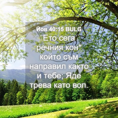 Picture 04 - Йов 40:15 BULG - Ето сега речния кон* който - Bible Verse Picture