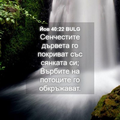 Picture 04 - Йов 40:22 BULG - Сенчестите дървета го - Bible Verse Picture