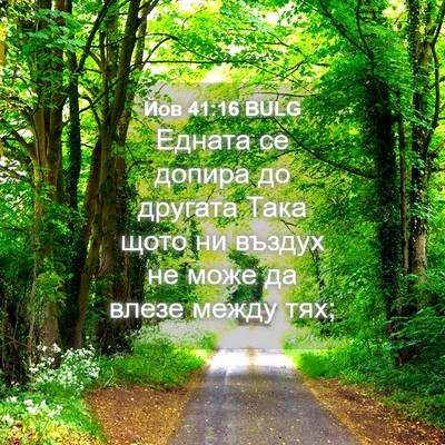 Picture 04 - Йов 41:16 BULG - Едната се допира до - Bible Verse Picture