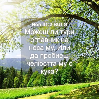 Picture 04 - Йов 41:2 BULG - Можеш ли тури оглавник на - Bible Verse Picture
