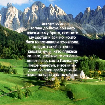 Picture 04 - Йов 42:11 BULG - Тогава дойдоха при него - Bible Verse Picture