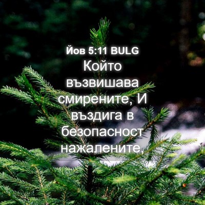 Picture 04 - Йов 5:11 BULG - Който възвишава смирените, - Bible Verse Picture