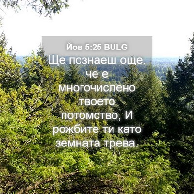 Picture 04 - Йов 5:25 BULG - Ще познаеш още, че е - Bible Verse Picture