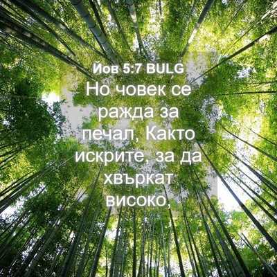 Picture 04 - Йов 5:7 BULG - Но човек се ражда за печал, - Bible Verse Picture