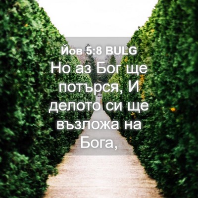 Picture 04 - Йов 5:8 BULG - Но аз Бог ще потърся, И - Bible Verse Picture