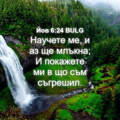 Picture 04 - Йов 6:24 BULG - Научете ме, и аз ще млъкна; - Bible Verse Picture