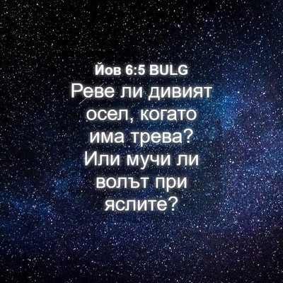 Picture 04 - Йов 6:5 BULG - Реве ли дивият осел, когато - Bible Verse Picture