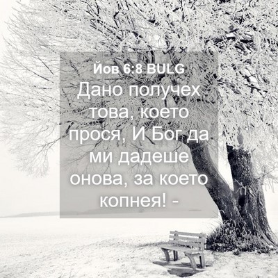 Picture 04 - Йов 6:8 BULG - Дано получех това, което - Bible Verse Picture