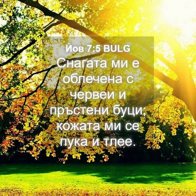 Picture 04 - Йов 7:5 BULG - Снагата ми е облечена с - Bible Verse Picture