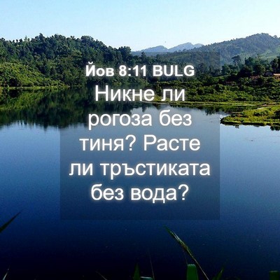 Picture 04 - Йов 8:11 BULG - Никне ли рогоза без тиня? - Bible Verse Picture