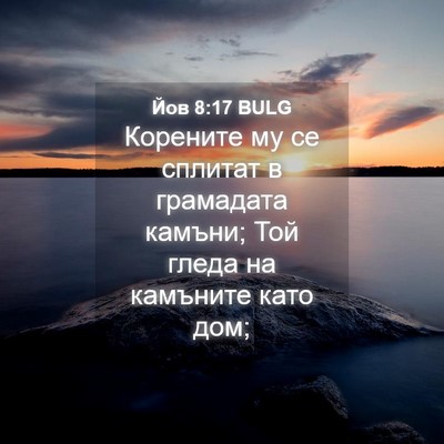 Picture 04 - Йов 8:17 BULG - Корените му се сплитат в - Bible Verse Picture