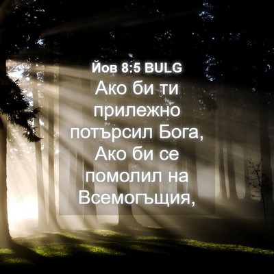 Picture 04 - Йов 8:5 BULG - Ако би ти прилежно - Bible Verse Picture