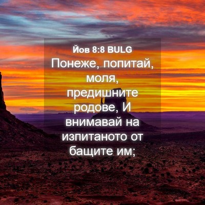 Picture 04 - Йов 8:8 BULG - Понеже, попитай, моля, - Bible Verse Picture