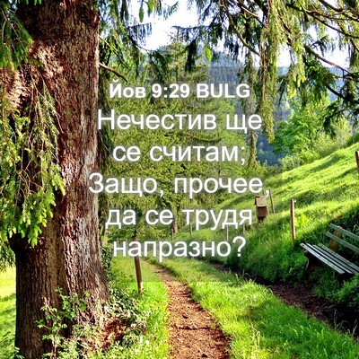 Picture 04 - Йов 9:29 BULG - Нечестив ще се считам; - Bible Verse Picture