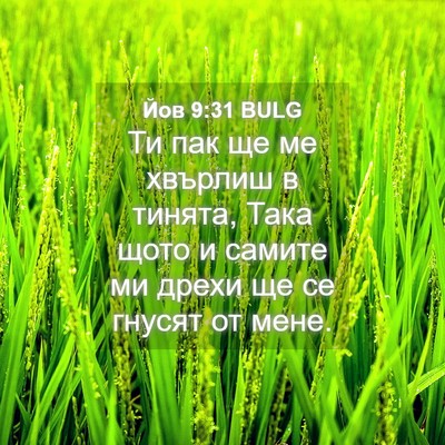 Picture 04 - Йов 9:31 BULG - Ти пак ще ме хвърлиш в - Bible Verse Picture
