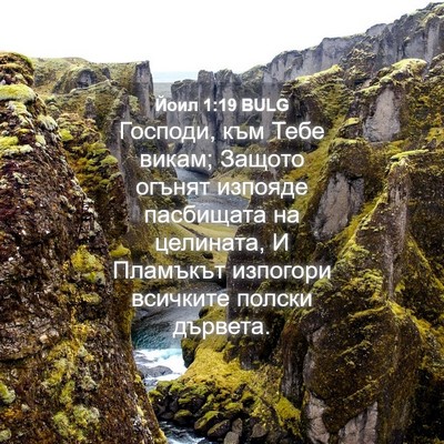 Picture 04 - Йоил 1:19 BULG - Господи, към Тебе викам; - Bible Verse Picture
