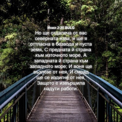 Picture 04 - Йоил 2:20 BULG - Но ще отдалеча от вас - Bible Verse Picture