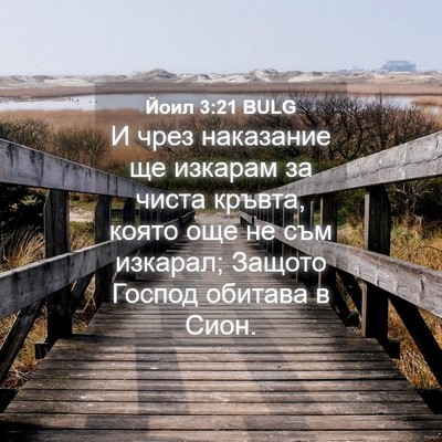 Picture 04 - Йоил 3:21 BULG - И чрез наказание ще - Bible Verse Picture