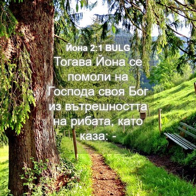 Picture 04 - Йона 2:1 BULG - Тогава Йона се помоли на - Bible Verse Picture