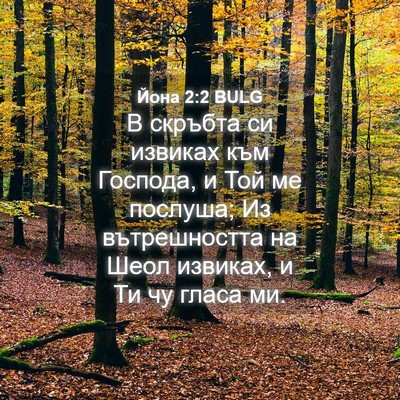 Picture 04 - Йона 2:2 BULG - В скръбта си извиках към - Bible Verse Picture