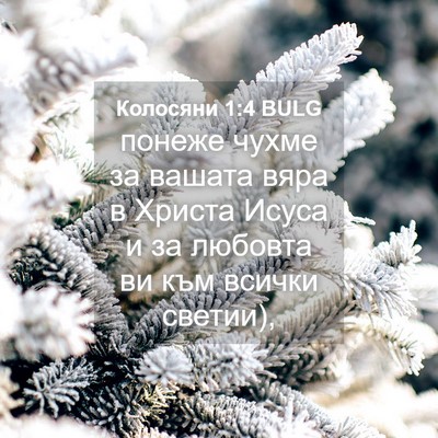 Picture 04 - Колосяни 1:4 BULG - понеже чухме за вашата - Bible Verse Picture