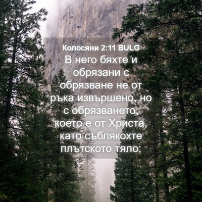 Picture 04 - Колосяни 2:11 BULG - В него бяхте и обрязани с - Bible Verse Picture