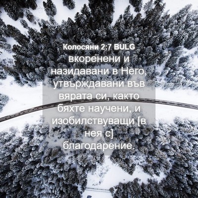 Picture 04 - Колосяни 2:7 BULG - вкоренени и назидавани в - Bible Verse Picture