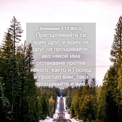 Picture 04 - Колосяни 3:13 BULG - Претърпявайте си един - Bible Verse Picture