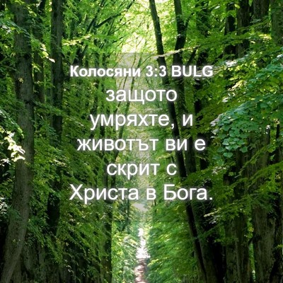 Picture 04 - Колосяни 3:3 BULG - защото умряхте, и животът - Bible Verse Picture