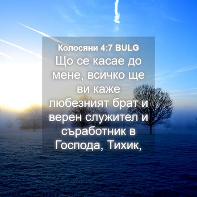 Picture 04 - Колосяни 4:7 BULG - Що се касае до мене, всичко - Bible Verse Picture