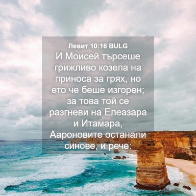 Picture 04 - Левит 10:16 BULG - И Моисей търсеше грижливо - Bible Verse Picture