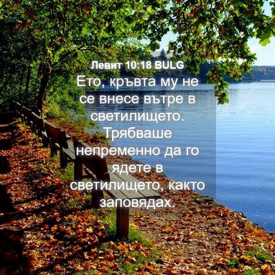 Picture 04 - Левит 10:18 BULG - Ето, кръвта му не се внесе - Bible Verse Picture