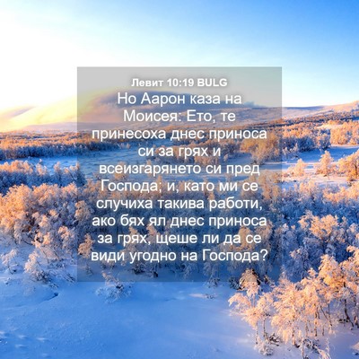 Picture 04 - Левит 10:19 BULG - Но Аарон каза на Моисея: - Bible Verse Picture
