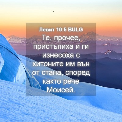 Picture 04 - Левит 10:5 BULG - Те, прочее, пристъпиха и ги - Bible Verse Picture