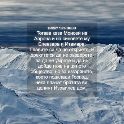 Picture 04 - Левит 10:6 BULG - Тогава каза Моисей на - Bible Verse Picture