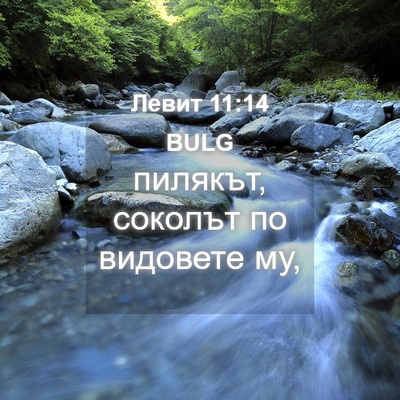 Picture 04 - Левит 11:14 BULG - пилякът, соколът по - Bible Verse Picture