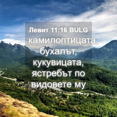 Picture 04 - Левит 11:16 BULG - камилоптицата, бухалът, - Bible Verse Picture